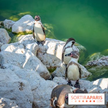 Parrot World, le parc animalier immersif d'Île-de-France