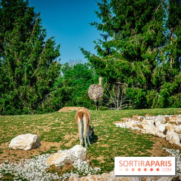 Parrot World, le parc animalier immersif d'Île-de-France