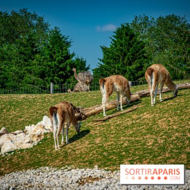 Parrot World, le parc animalier immersif d'Île-de-France