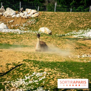 Parrot World, le parc animalier immersif d'Île-de-France