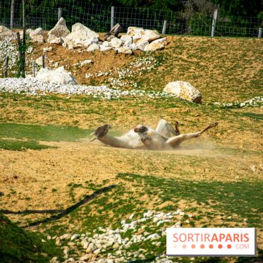 Parrot World, le parc animalier immersif d'Île-de-France
