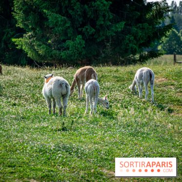 Parrot World, le parc animalier immersif d'Île-de-France