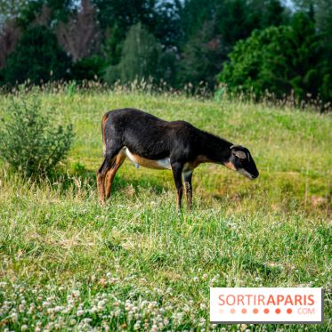 Parrot World, le parc animalier immersif d'Île-de-France