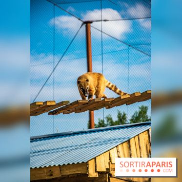 Parrot World, le parc animalier immersif d'Île-de-France