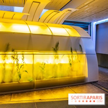 Surface Horizon, l'exposition à Lafayette Anticipations : nos photos