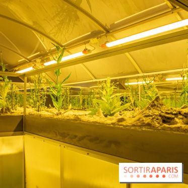 Surface Horizon, l'exposition à Lafayette Anticipations : nos photos