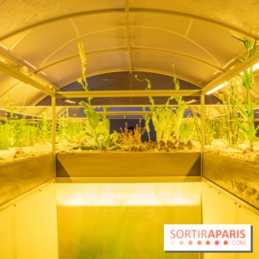 Surface Horizon, l'exposition à Lafayette Anticipations : nos photos