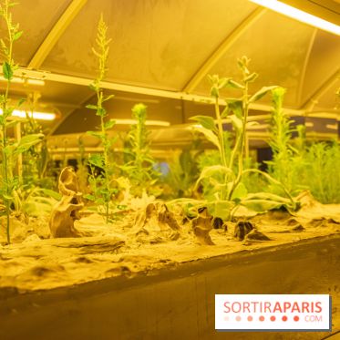 Surface Horizon, l'exposition à Lafayette Anticipations : nos photos