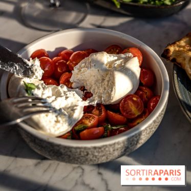 Les Piaules Nation, le rooftop