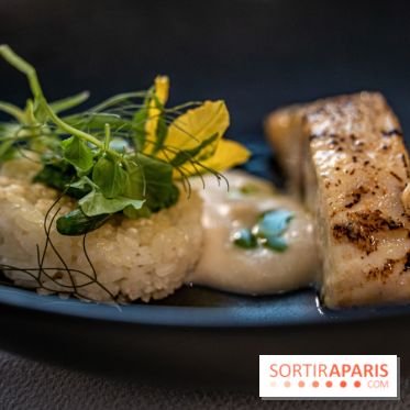 La Scène Thélème en photos