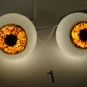 Body house - François Bernard©