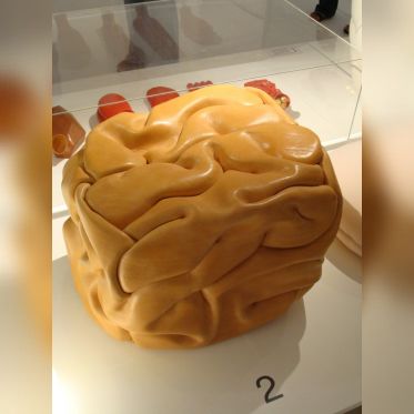 Body house - François Bernard©