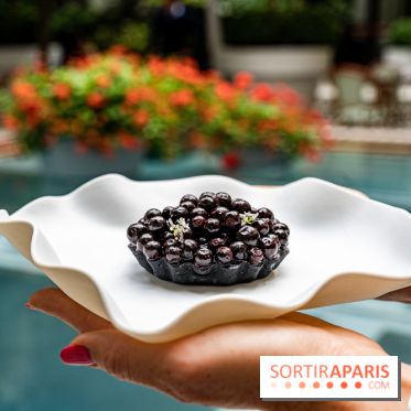La Tarte Cassis de Quentin Lechat au Royal Monceau