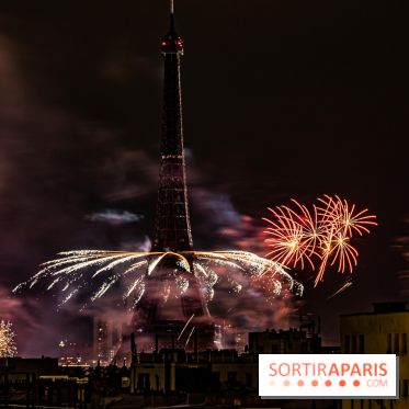 Photos feu d'artifice Paris 2021