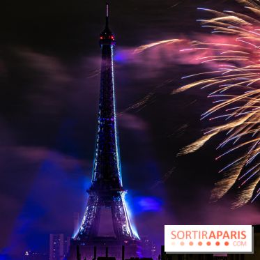 Photos feu d'artifice Paris 2021