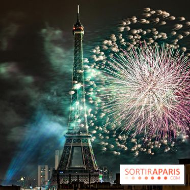 Photos feu d'artifice Paris 2021