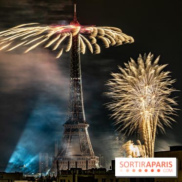 Photos feu d'artifice Paris 2021