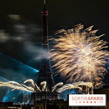 Photos feu d'artifice Paris 2021