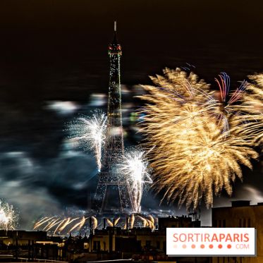 Photos feu d'artifice Paris 2021