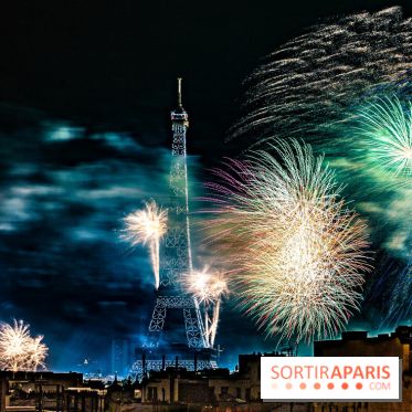 Photos feu d'artifice Paris 2021
