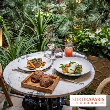 La Terrasse estivale du 19.20  au Prince de Galles Paris