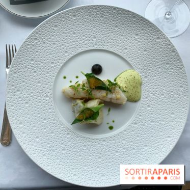 Oiseau Blanc Peninsula