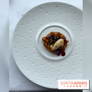 Oiseau Blanc Peninsula