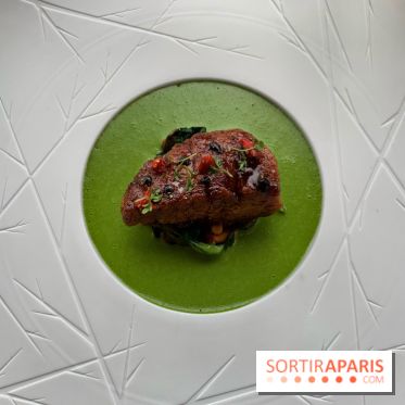 Oiseau Blanc Peninsula