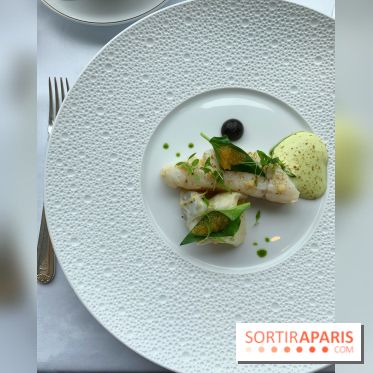 Oiseau Blanc Peninsula