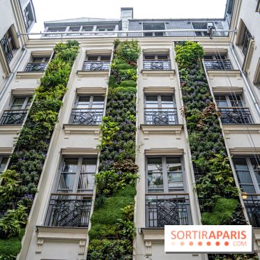 Kimpton St Honoré Paris, Restaurant Montecito