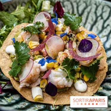 Montecito restaurant Paris