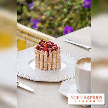 Le Cheval Blanc Paris se dévoile en photos !