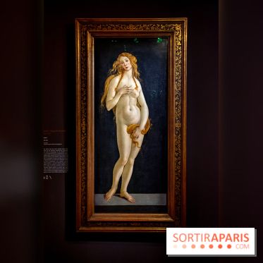 Botticelli, Artiste & Designer, l'exposition au Musée Jacquemart-André - nos photos