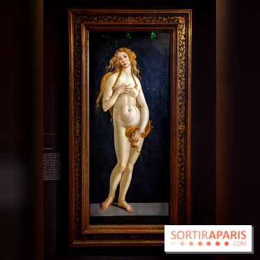 Botticelli, Artiste & Designer, l'exposition au Musée Jacquemart-André - nos photos