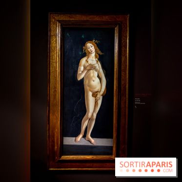 Botticelli, Artiste & Designer, l'exposition au Musée Jacquemart-André - nos photos