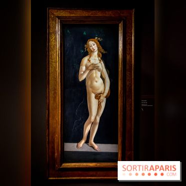 Botticelli, Artiste & Designer, l'exposition au Musée Jacquemart-André - nos photos