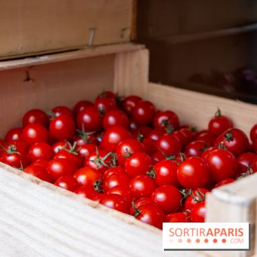 Sapid, la table à manger Naturaliste d'Alan Ducasse : nos photos