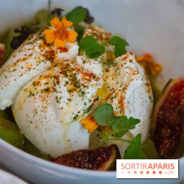 Sapid, la table à manger Naturaliste d'Alan Ducasse : nos photos