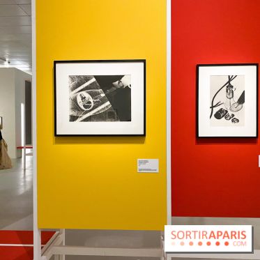 Les chefs-œuvre du MOMA au Jeu de Paume