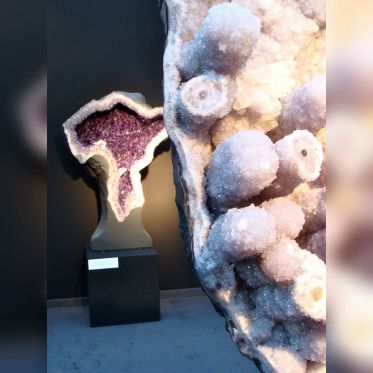 Salon du collectionneur 2009 - Grand Palais