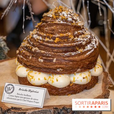 Bûches et galettes de Hugo & Victor 2021