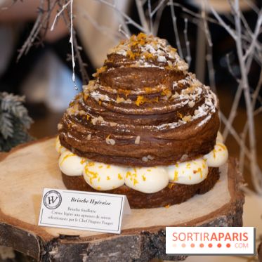 Bûches et galettes de Hugo & Victor 2021