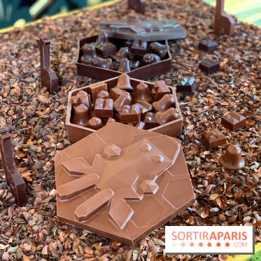 Chocolats de Noël 2021 Alain Ducasse