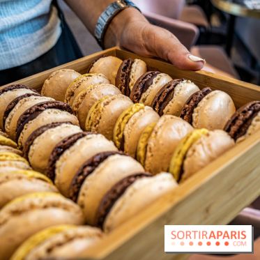 Photos : Les bûches de Noël 2021 et galette 2022 de Dalloyau by Jeremy Del Val