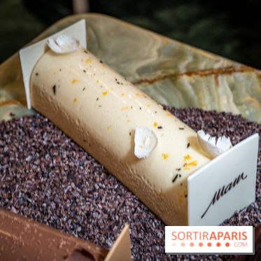 Photos : Les Bûches de Noël 2021 et galettes 2022 de Pierre Chirac et Stephanie Le Quellec