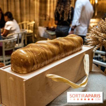 Photos : Les Bûches de Noël 2021 et galettes 2022 de Pierre Chirac et Stephanie Le Quellec