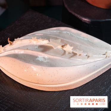 Photos : Les Bûches de Noël Evok 2021 et galette 2022 par Yann Brys