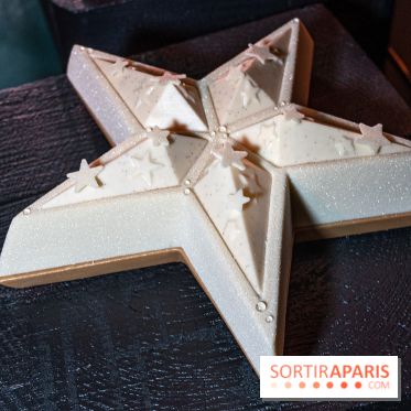 Photos : Les Bûches de Noël Evok 2021 et galette 2022 par Yann Brys