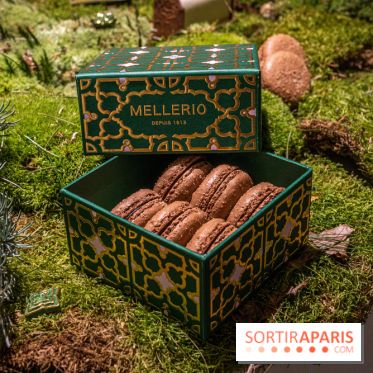 Photos : Bûche de Noël 2021 et Galette 2022 de Ladurée par Julien Alvarez