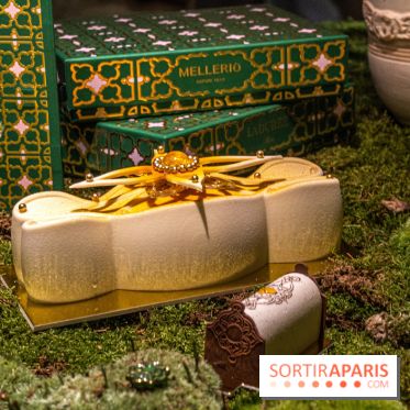 Photos : Bûche de Noël 2021 et Galette 2022 de Ladurée par Julien Alvarez